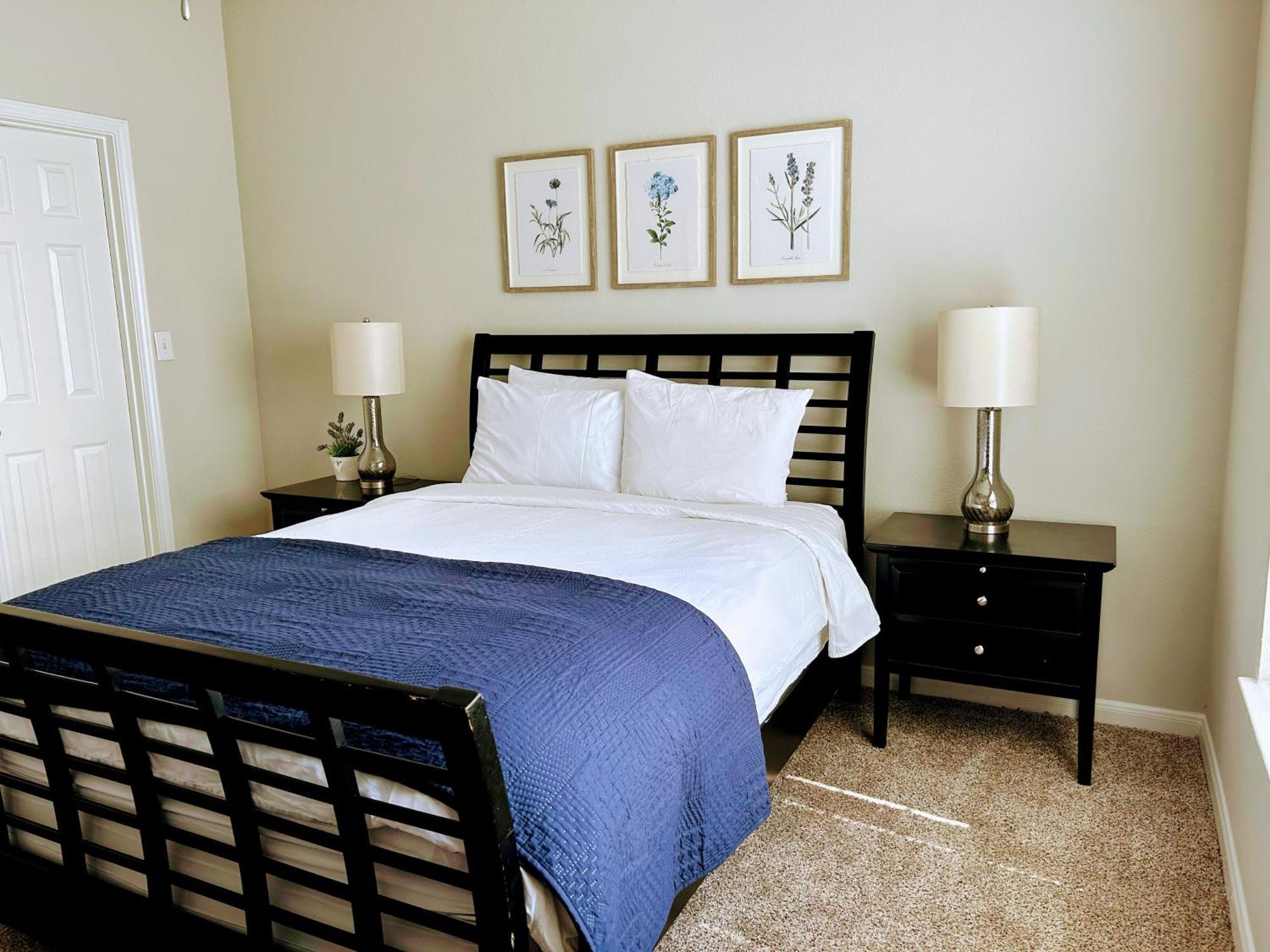 Hidden Gem At Med Center 2Br & 2Ba Apartment Х'юстон Екстер'єр фото